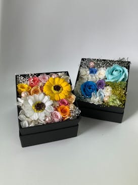 ずこうしつ〜sugamo〜に投稿された画像（2022/5/28）