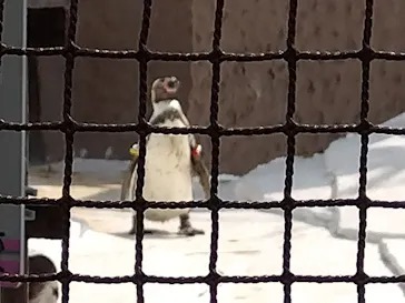 天王寺動物園に投稿された画像（2022/5/28）