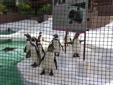 天王寺動物園に投稿された画像（2022/5/28）