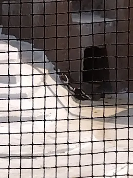 天王寺動物園に投稿された画像（2022/5/28）