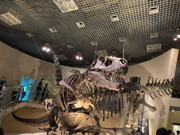国立科学博物館に投稿された画像（2022/5/28）
