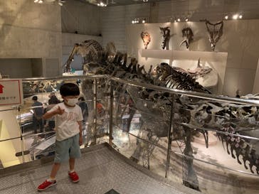 国立科学博物館に投稿された画像（2022/5/28）