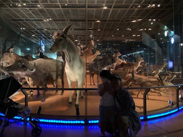 国立科学博物館に投稿された画像（2022/5/28）