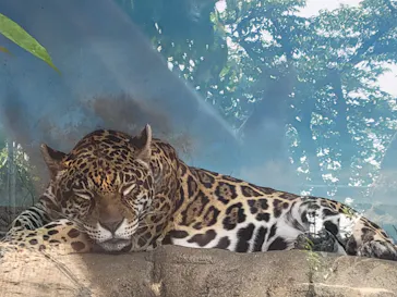 天王寺動物園に投稿された画像（2022/5/28）