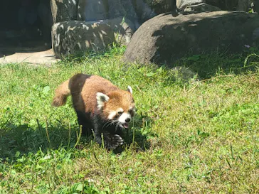 天王寺動物園に投稿された画像（2022/5/28）
