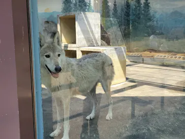 天王寺動物園に投稿された画像（2022/5/28）