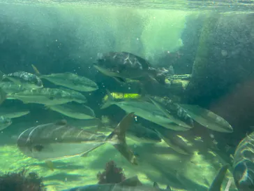 横浜・八景島シーパラダイスに投稿された画像（2022/5/28）