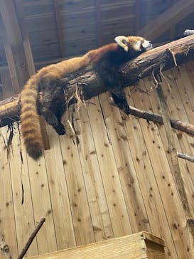 伊豆シャボテン動物公園に投稿された画像（2022/5/28）