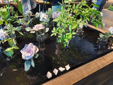 いばらきフラワーパークに投稿された画像（2022/5/28）