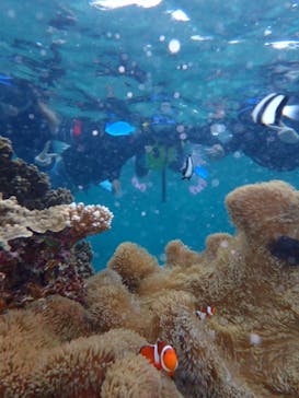 宮古島 ADVENTURE PiPi（ミヤコジマ アドベンチャー ピピ）に投稿された画像（2022/5/28）