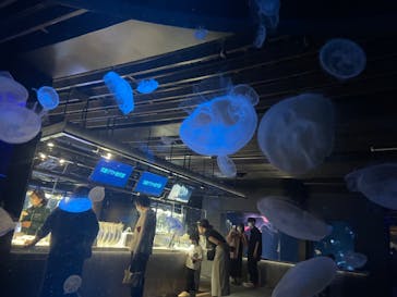 京都水族館に投稿された画像（2022/5/28）