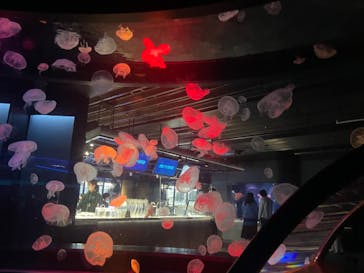 京都水族館に投稿された画像（2022/5/28）