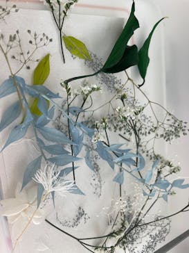 ずこうしつ〜sugamo〜に投稿された画像（2022/5/28）