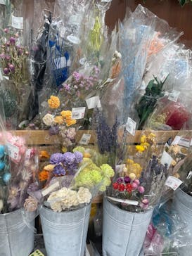 ずこうしつ〜sugamo〜に投稿された画像（2022/5/28）