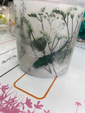 ずこうしつ〜sugamo〜に投稿された画像（2022/5/28）