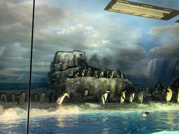 名古屋港水族館に投稿された画像（2022/5/28）
