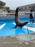 大分マリーンパレス水族館 「うみたまご」に投稿された画像（2022/5/28）