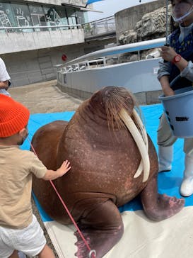 大分マリーンパレス水族館 「うみたまご」に投稿された画像（2022/5/28）