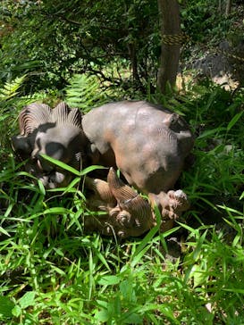 鳩山会館に投稿された画像（2022/5/28）