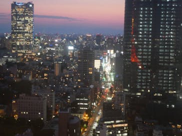 東京タワーに投稿された画像（2022/5/28）