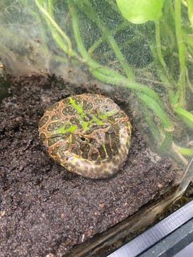 サンシャイン水族館に投稿された画像（2022/5/28）