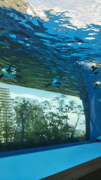 サンシャイン水族館に投稿された画像（2022/5/28）