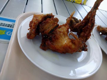 環境水族館アクアマリンふくしまに投稿された画像（2022/5/28）