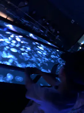 すみだ水族館に投稿された画像（2022/5/28）