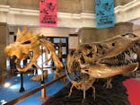 国立科学博物館　特別企画展「ポケモン化石博物館」に投稿された画像（2022/5/28）