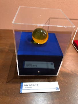 国立科学博物館　特別企画展「ポケモン化石博物館」に投稿された画像（2022/5/28）