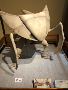 国立科学博物館　特別企画展「ポケモン化石博物館」に投稿された画像（2022/5/28）