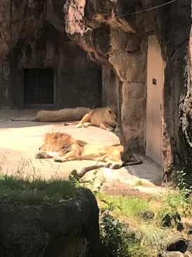 天王寺動物園に投稿された画像（2022/5/28）