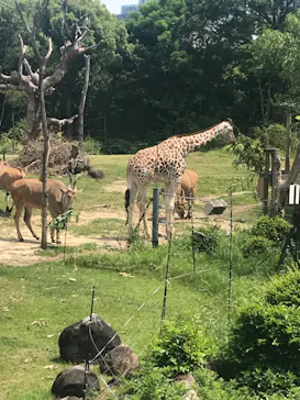 天王寺動物園に投稿された画像（2022/5/28）