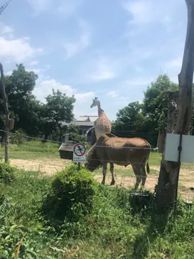 天王寺動物園に投稿された画像（2022/5/28）