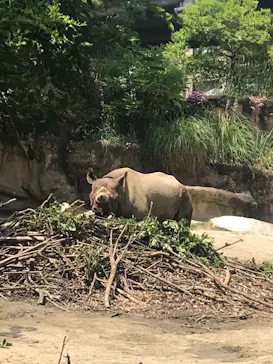 天王寺動物園に投稿された画像（2022/5/28）