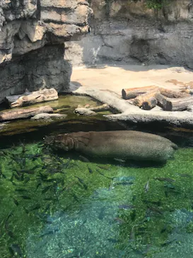 天王寺動物園に投稿された画像（2022/5/28）
