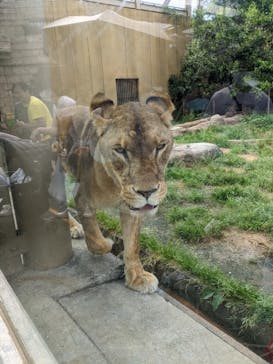 東武動物公園に投稿された画像（2022/5/28）