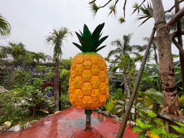 ナゴパイナップルパークに投稿された画像（2022/5/28）