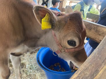 牧歌の里に投稿された画像（2022/5/28）