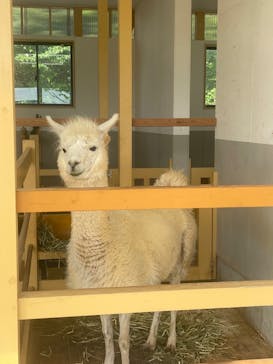 牧歌の里に投稿された画像（2022/5/28）