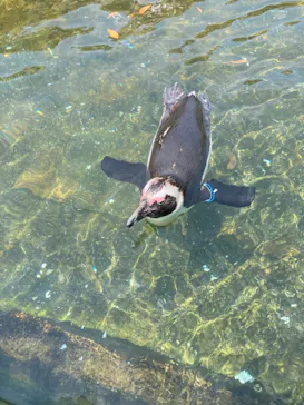 神戸どうぶつ王国に投稿された画像（2022/5/28）