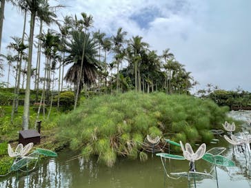 美らヤシパークオキナワ・東南植物楽園に投稿された画像（2022/5/28）