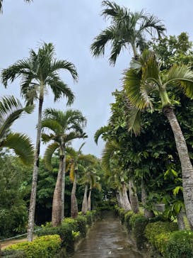 美らヤシパークオキナワ・東南植物楽園に投稿された画像（2022/5/28）