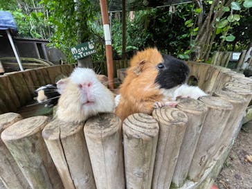 美らヤシパークオキナワ・東南植物楽園に投稿された画像（2022/5/28）