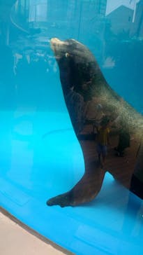 サンシャイン水族館に投稿された画像（2022/5/28）