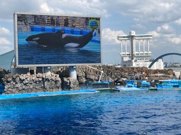 名古屋港水族館に投稿された画像（2022/5/28）