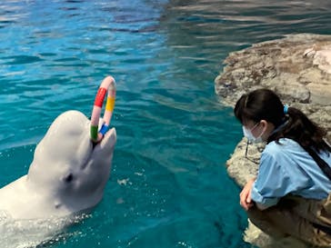 名古屋港水族館に投稿された画像（2022/5/28）