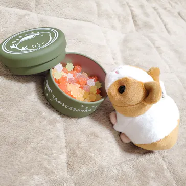 天王寺動物園に投稿された画像（2022/5/28）