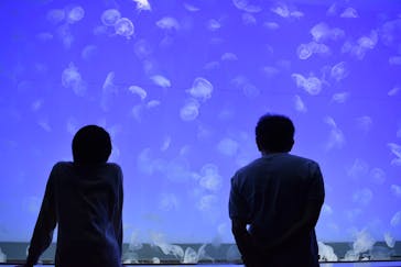 アクアワールド茨城県大洗水族館に投稿された画像（2022/5/28）