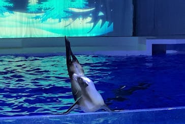 アクアワールド茨城県大洗水族館に投稿された画像（2022/5/28）